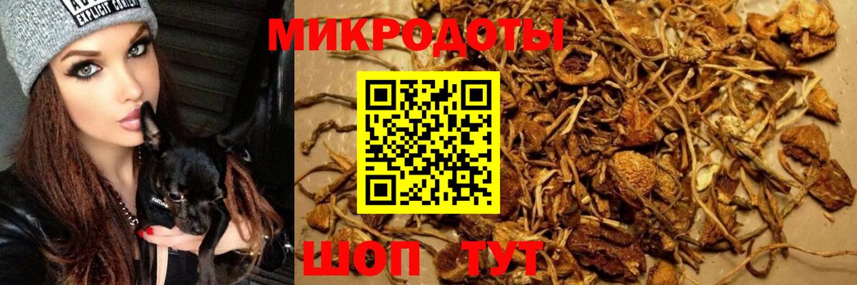 Псилоцибиновые грибы прущие грибы  Вход с VPN  Семёнов 